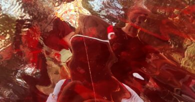 mare rosso - foto di giovanni guerrini