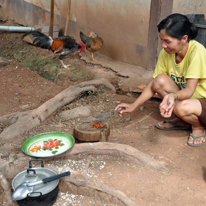 preparando il pranzo (luang prabang) - foto di andrea cassano