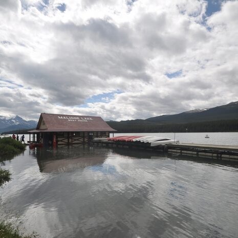 jasper national park - by andrea cassano