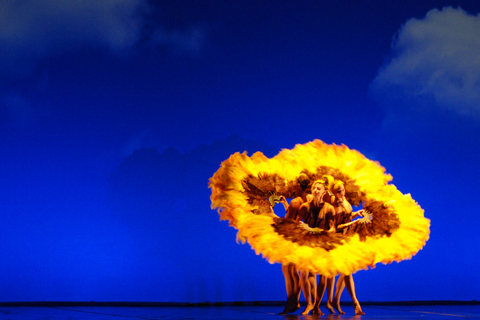 momix - botanica - by alessandro guerrini