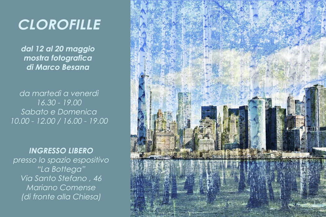 clorofille - mostra di marco besana