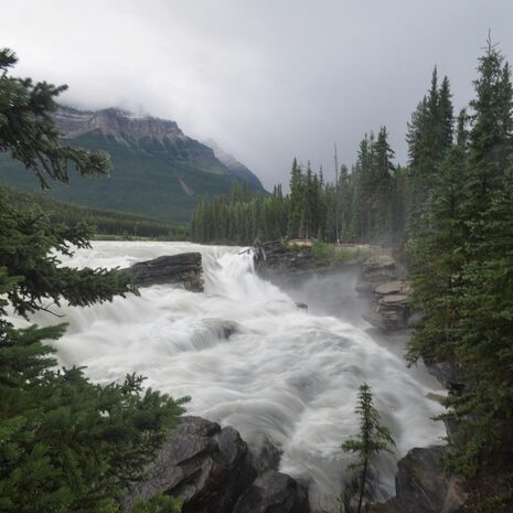 jasper national park - by andrea cassano