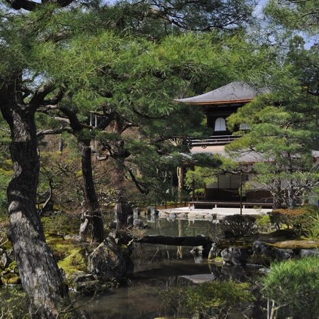 kyoto - ginkaku ji - by andrea cassano