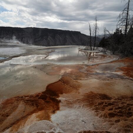 yellowstone - by andrea cassano