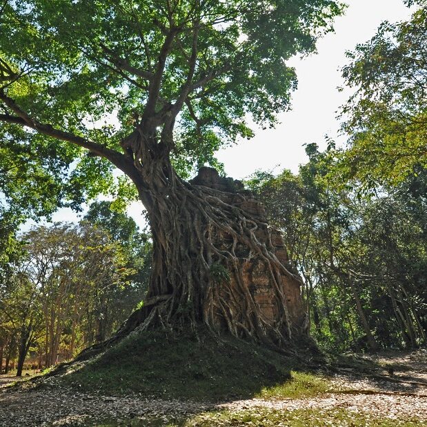 angkor - sambor preikuk - foto di andrea cassano