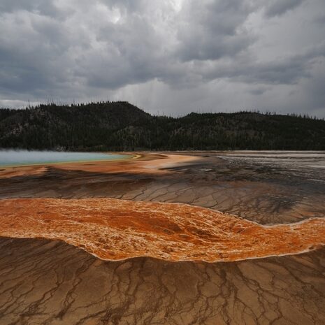 yellowstone - by andrea cassano