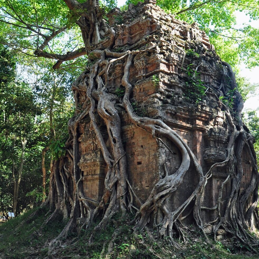 angkor - sambor preikuk - foto di andrea cassano