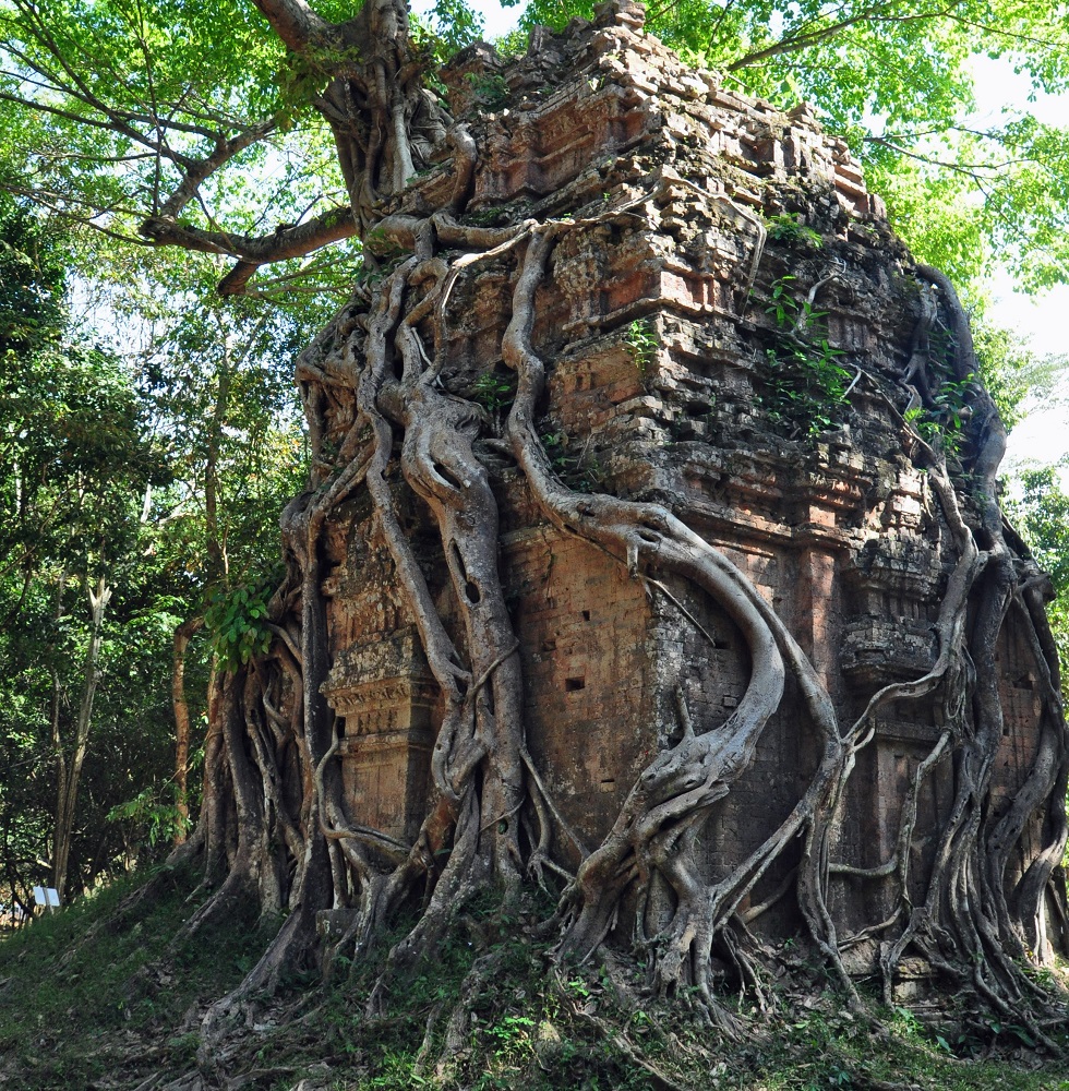 angkor - sambor preikuk - foto di andrea cassano