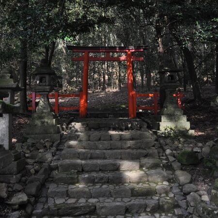 nara - tempio - by andrea cassano