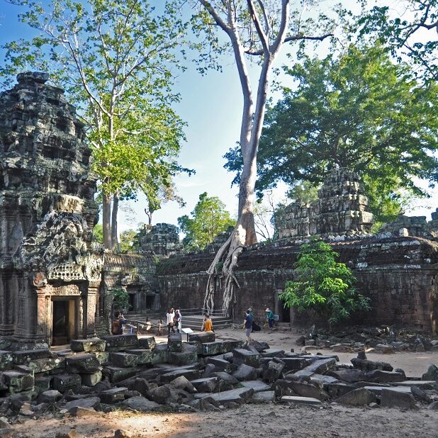 angkor - ta prohm - foto di andrea cassano