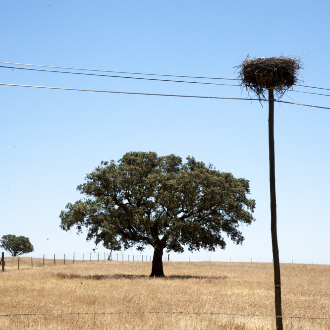 alentejo - foto di donato guerrini