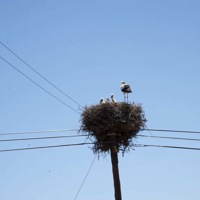 alentejo - foto di donato guerrini