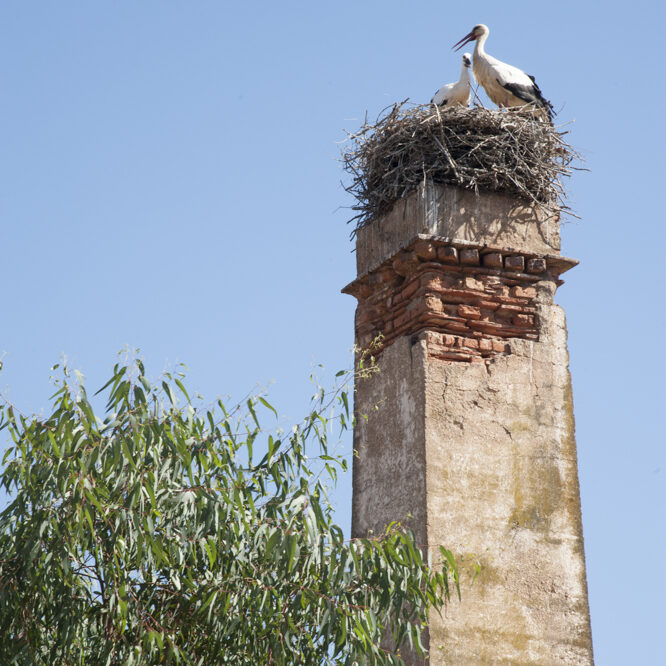 alentejo - foto di donato guerrini