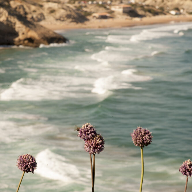 la costa dal castello di sagres - foto di donato guerrini