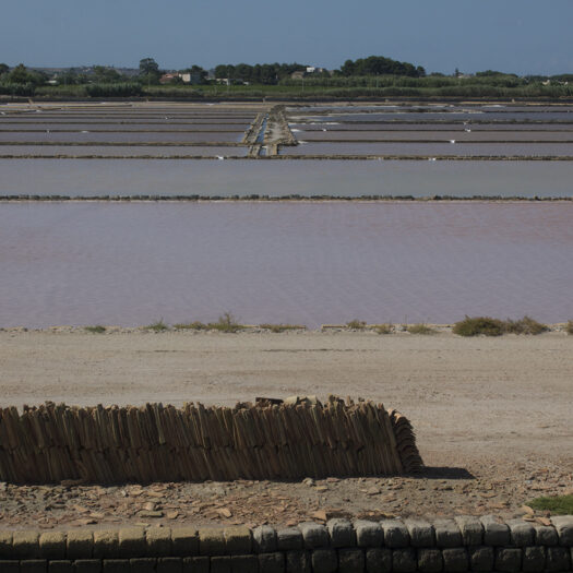 saline siciliane - foto di donato guerrini