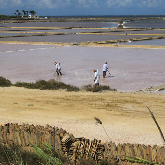 saline siciliane - foto di donato guerrini