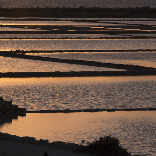 saline siciliane - foto di donato guerrini