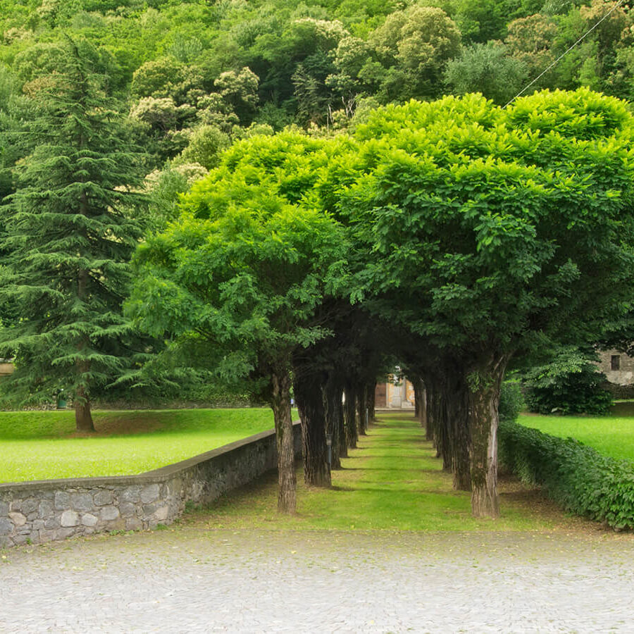 morbegno - vialetto di accesso alla cappella della madonna di pedemonte - foto di donato guerrini