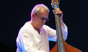 riccardo fioravanti - otranto jazz 2010 - by donato guerrini