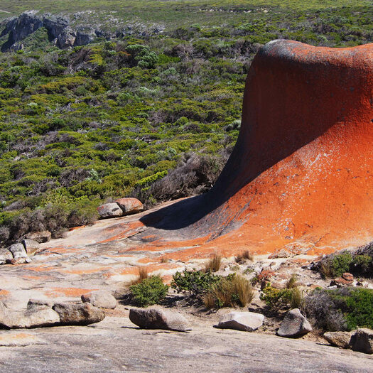 remarkable rocks - foto di alessandro guerrini