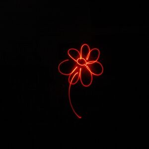 light flower - by andrea cassano