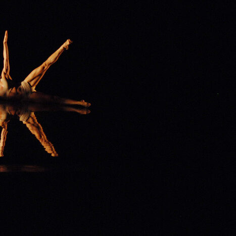 momix - botanica - by alessandro guerrini