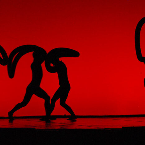 momix - botanica - by alessandro guerrini