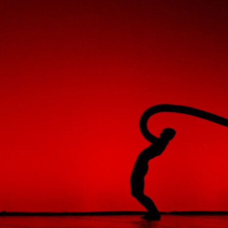 momix - botanica - by alessandro guerrini