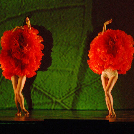 momix - botanica - by alessandro guerrini