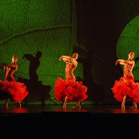 momix - botanica - by alessandro guerrini