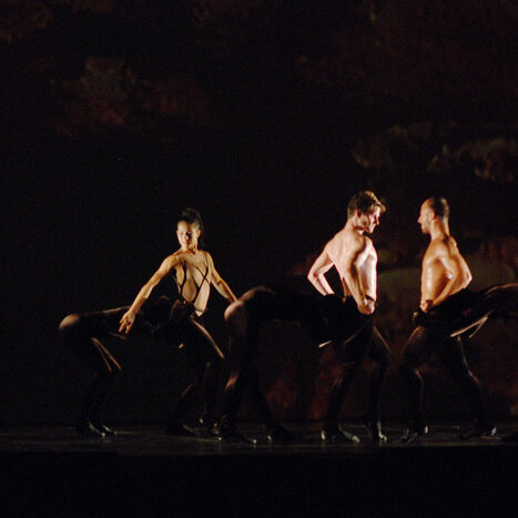 momix - botanica - by alessandro guerrini