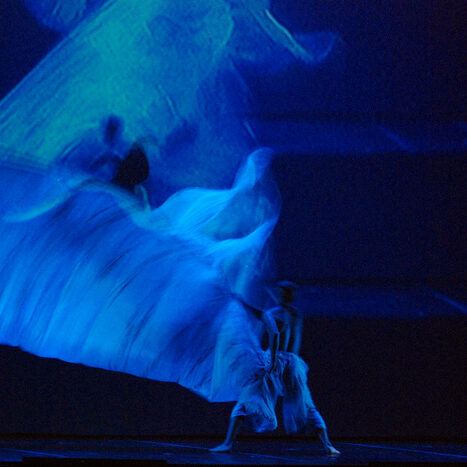 momix - botanica - by alessandro guerrini