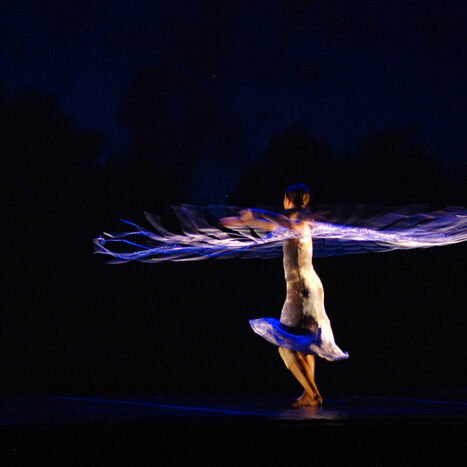 momix - botanica - by alessandro guerrini