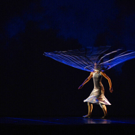 momix - botanica - by alessandro guerrini