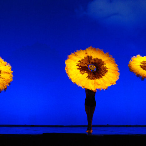 momix - botanica - by alessandro guerrini