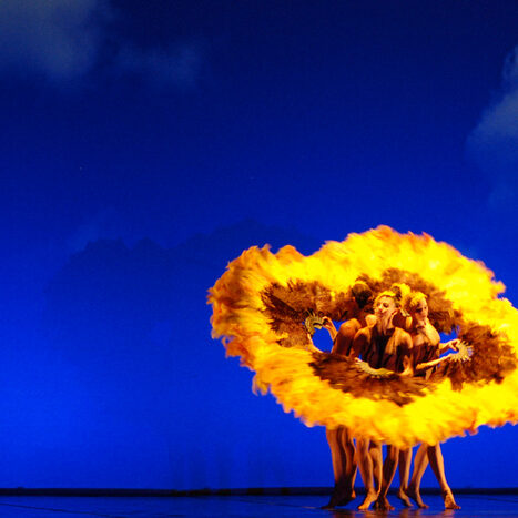 momix - botanica - by alessandro guerrini