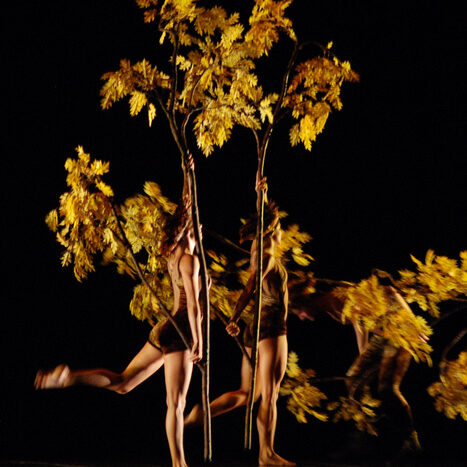 momix - botanica - by alessandro guerrini