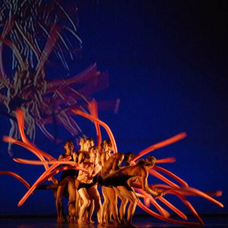 momix - botanica - by alessandro guerrini