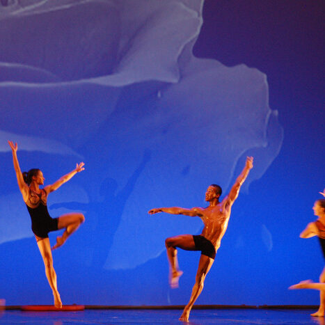 momix - botanica - by alessandro guerrini