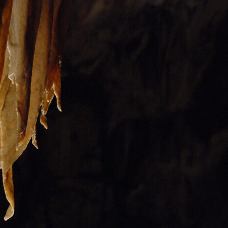 grotte di postumia - by alessandro guerrini