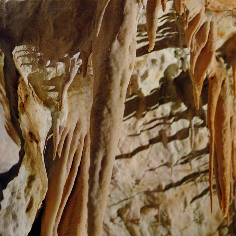 grotte di postumia - by alessandro guerrini