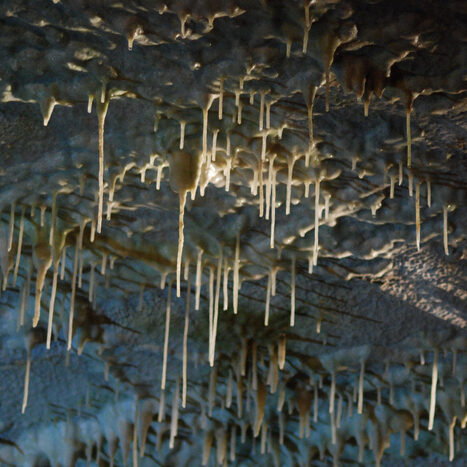 grotte di postumia - by alessandro guerrini