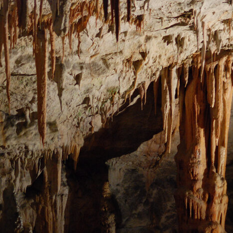 grotte di postumia - by alessandro guerrini