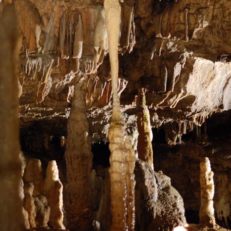 grotte di postumia - by alessandro guerrini