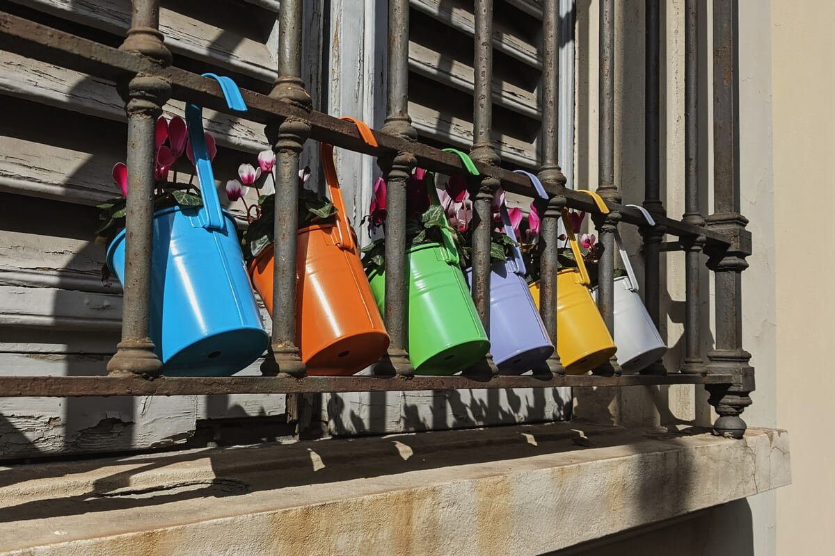 tocco di colore - foto di alessandro guerrini